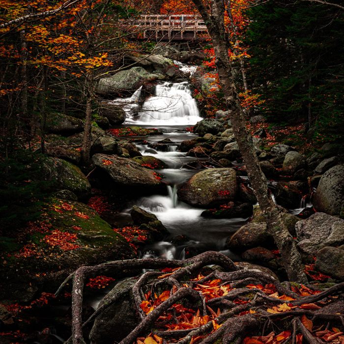 Waterfall under autumn leaves